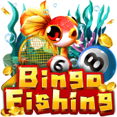 Câu Cá Bingo sc881